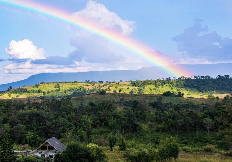 KT - 丘の上の虹