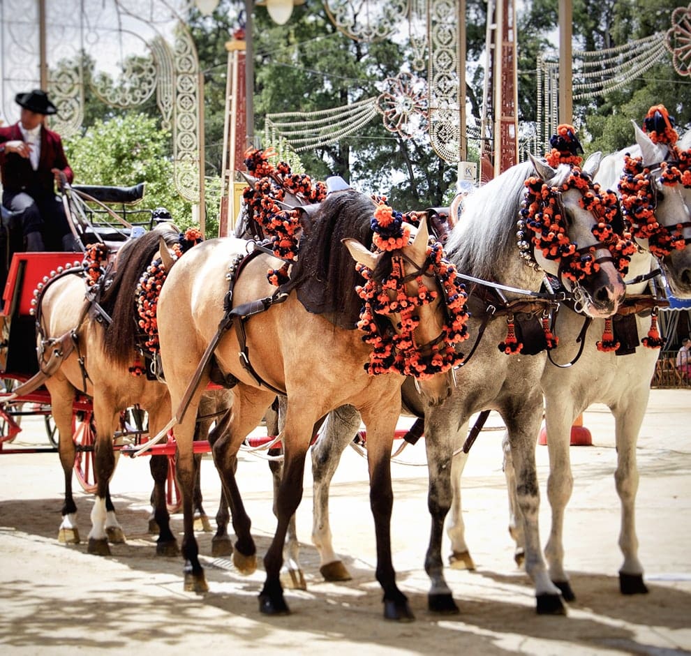 KT - Man riding horse carriage