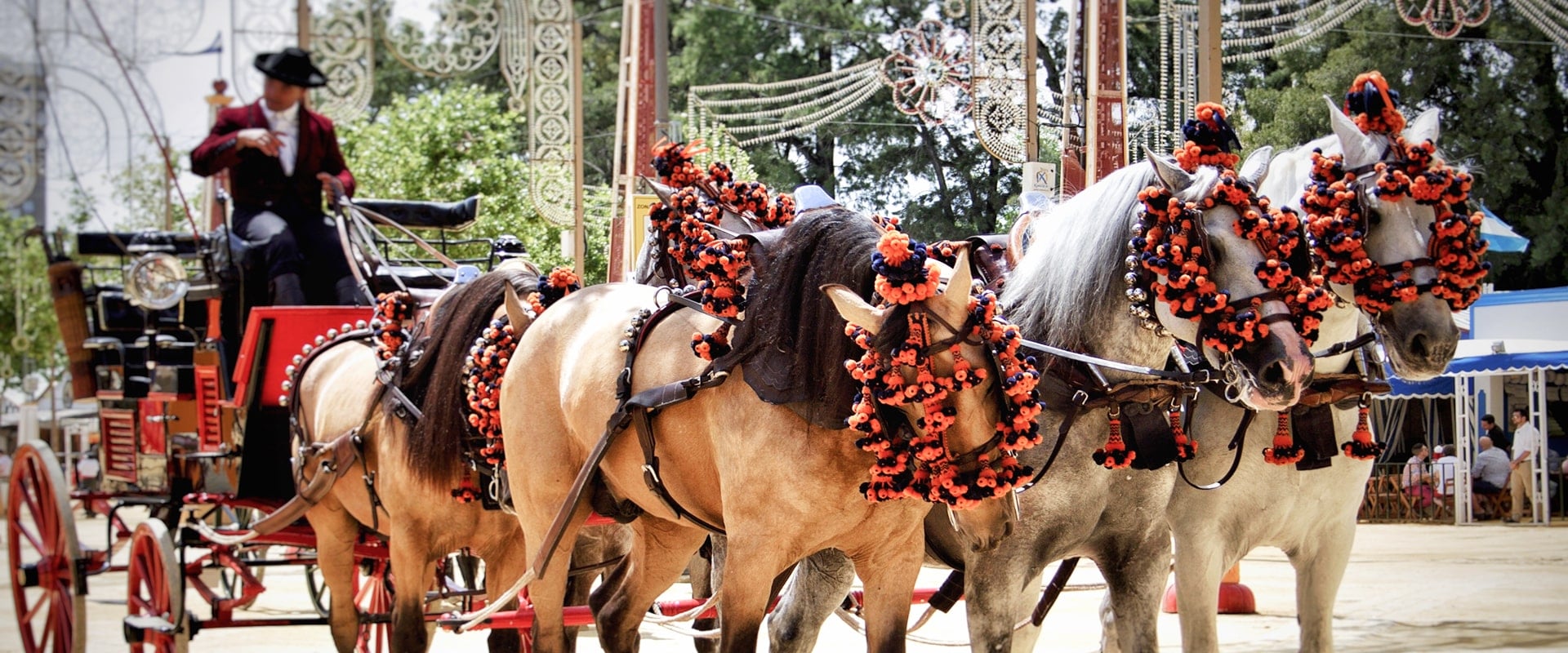 KT - Man riding horse carriage