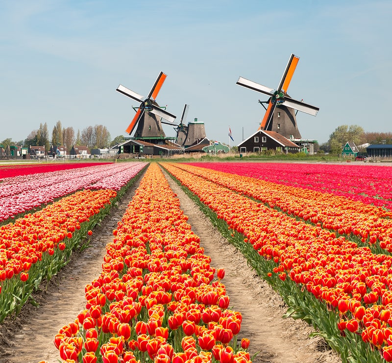 Netherlands