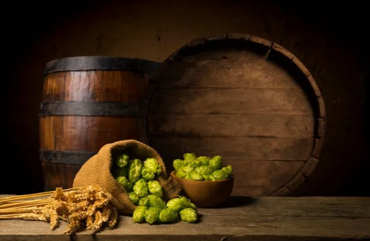 Taste the Czech Brewing Tradition