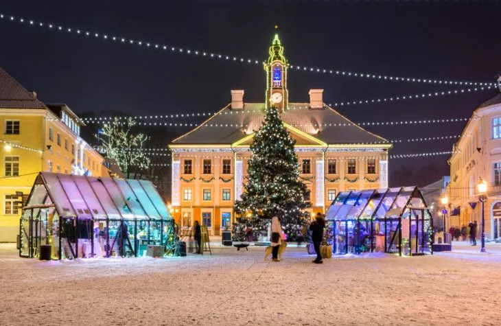 Christmas Markets in Germany, Austria, and the Baltics: A Magical Holiday Experience 