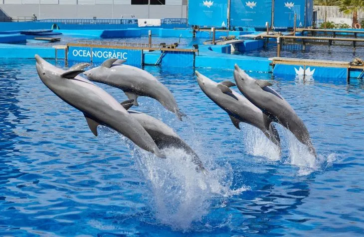 Valencia City of Festivals, Sunshine, and Mediterranean Flavours