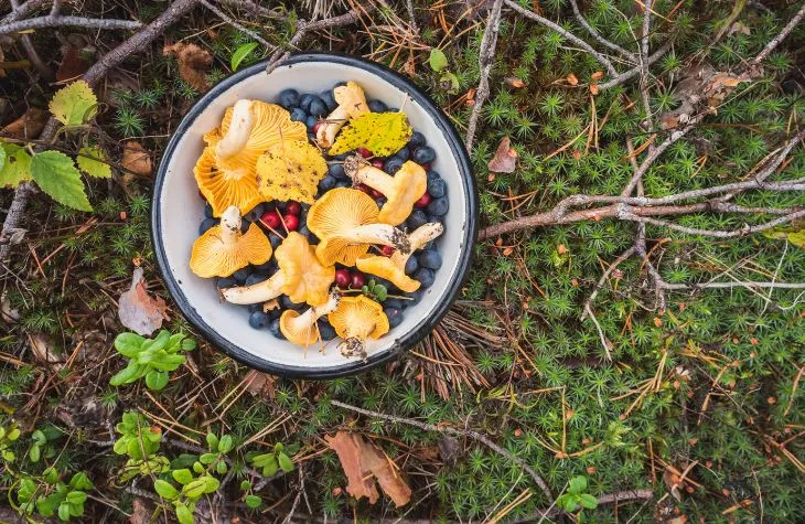 A Guide to Pursue The Midnight Sun in Sweden!