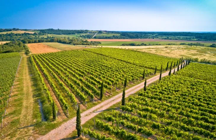 7 Memorable Experiences in Croatia