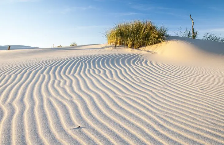 Along the Baltic Sea Coastline: Follow the Adventure