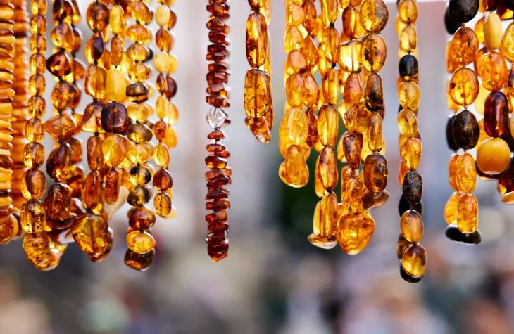 Along the Baltic Sea Coastline: Follow the Adventure