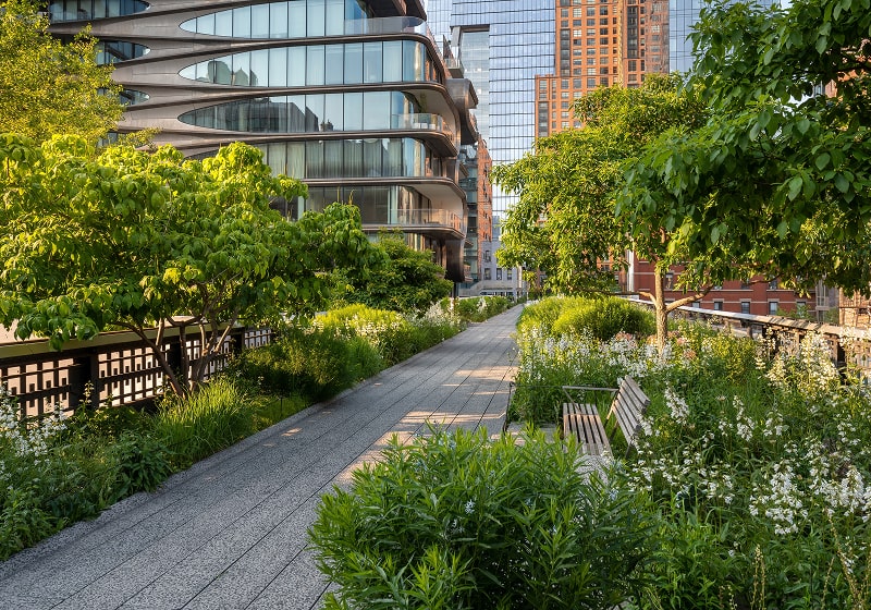 KT - guided walk on the High Line New York