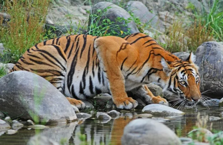 6_nepal_land_of_spirituality_bod 