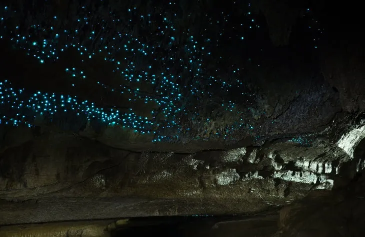 Be Inspired by Scenic New Zealand