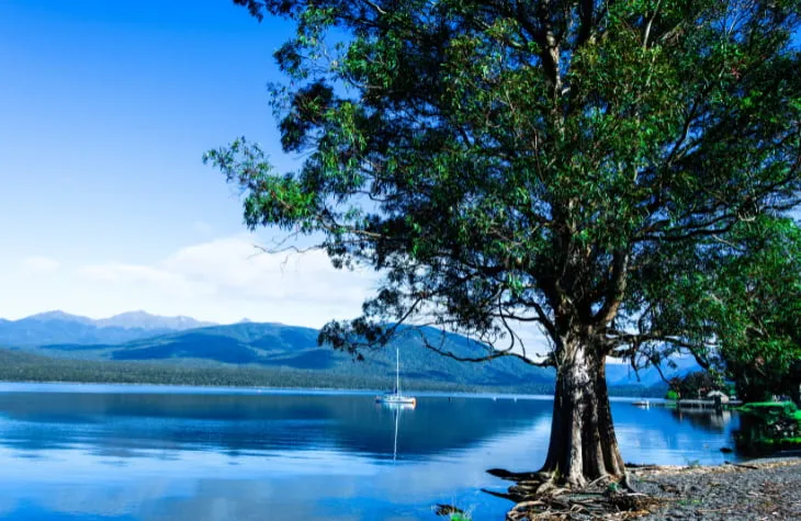 Be Inspired by Scenic New Zealand