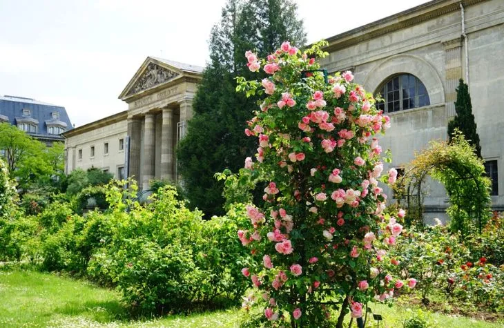 Experience The Magic Of Paris During The 2024 Olympic Games