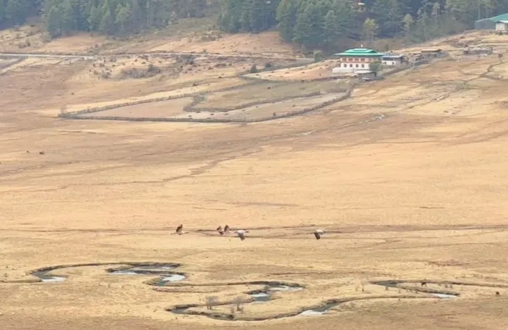 Exploring Bhutan’s Natural Charm