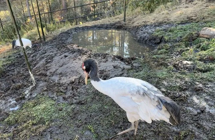 Exploring Bhutan’s Natural Charm