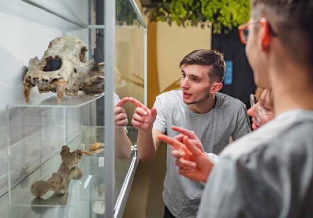 Curious students examining animal skeletons in a natural history museum display, deepening academic learning.