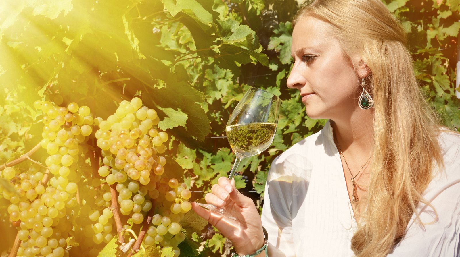A woman tasting white wine among the vineyards of the Rhine Valley.