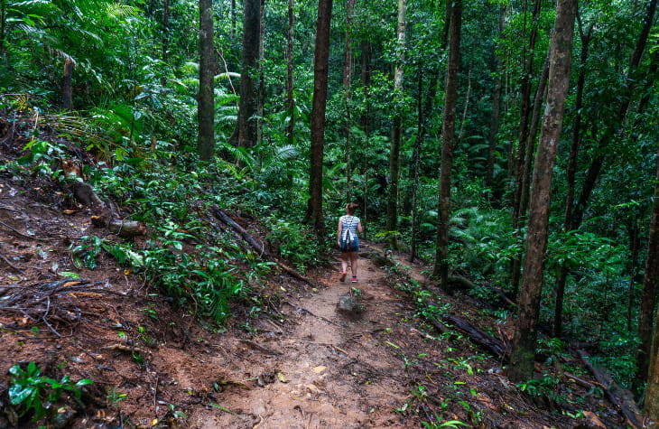 Ngadiku Dreamtime Walk