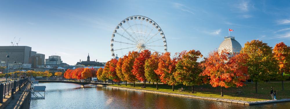KT -  Close Up Image of City Hall in Fall
