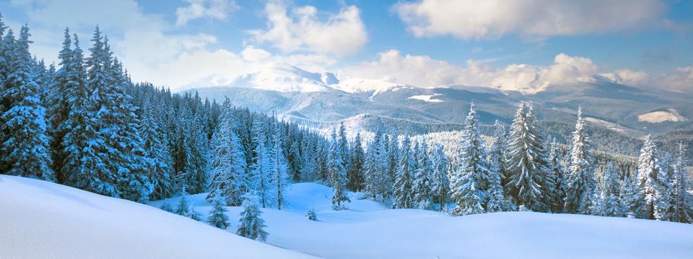 KT - 目的地 - 芬兰 - 芬兰雪山图像
