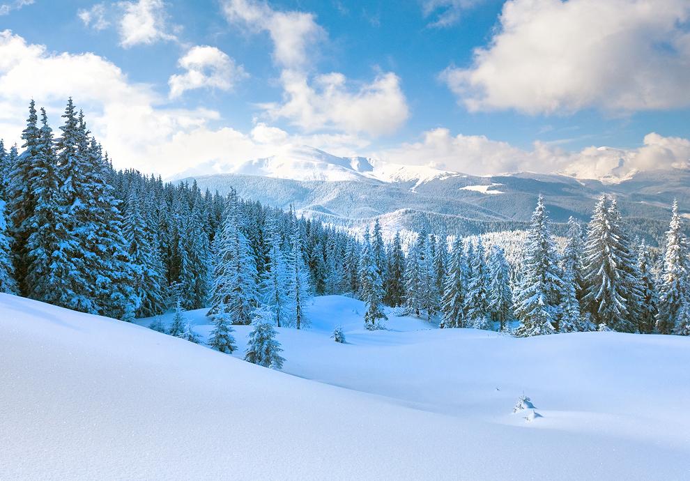 KT - 目的地 - 芬兰 - 芬兰白色森林和山脉图像