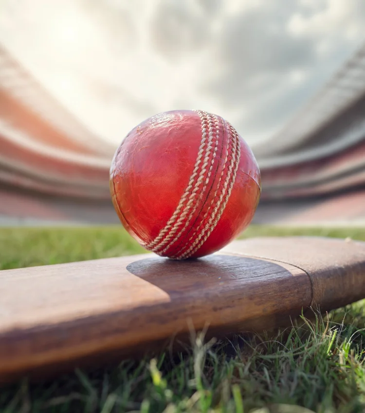 Cricket ball on top of old wooden cricket bat on green grass of cricket stadium ground background
