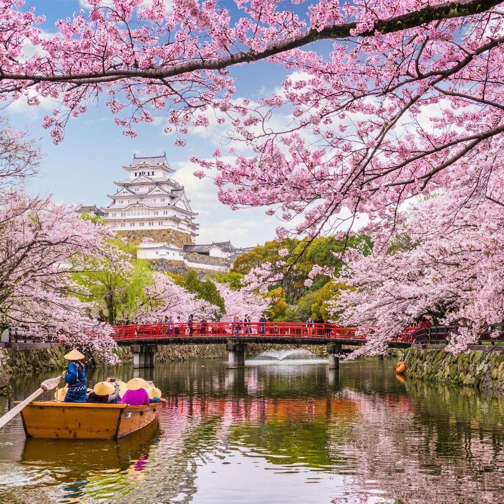 5 Reasons to Visit Japan
