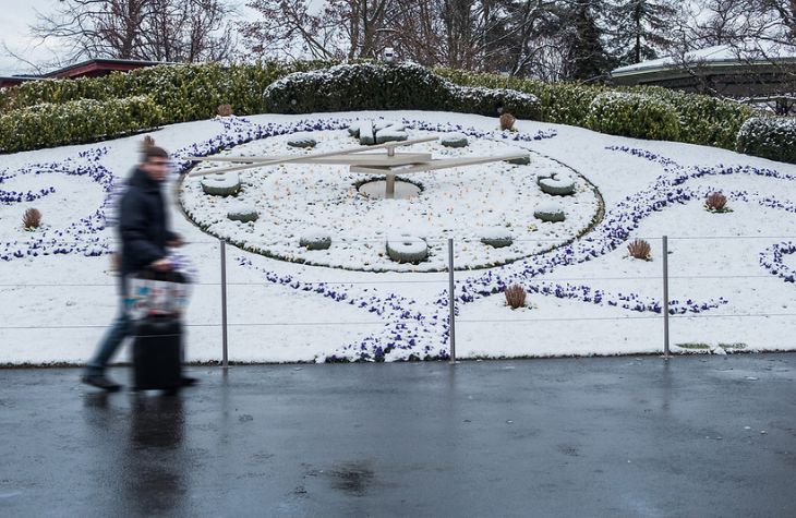 A clock made of flowers and plants in the snow