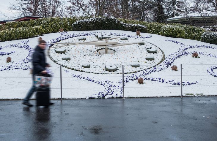 雪下的花鐘