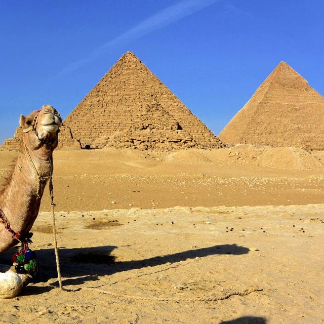 이집트의 독특한 매력에 빠져보세요
