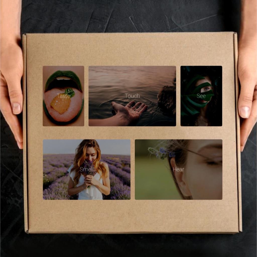 Person holding a cardboard box