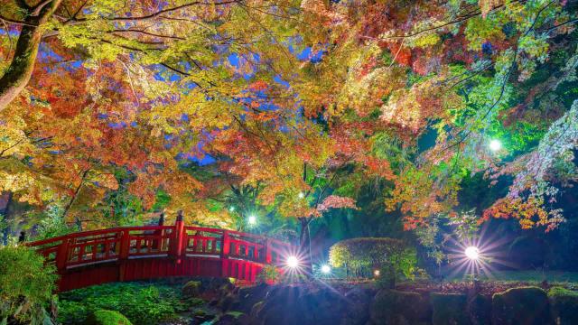 일본의 독특한 명소와 축제